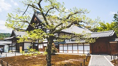Japanese Language Notes